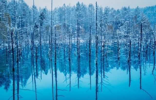 The Blue Pond, Biei, Hokkaido