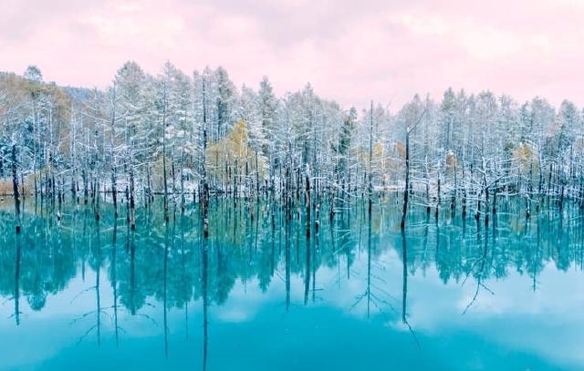 The Blue Pond, Biei, Hokkaido
