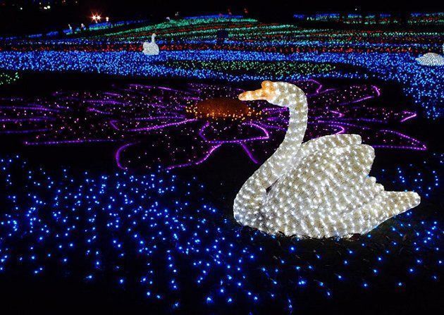 Iluminación de invierno en Tokio
