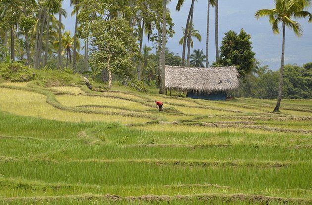 Timor