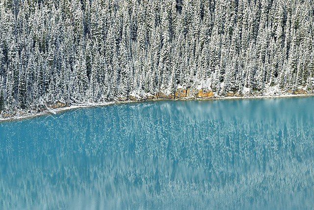 Lago Peyto (Canadá)