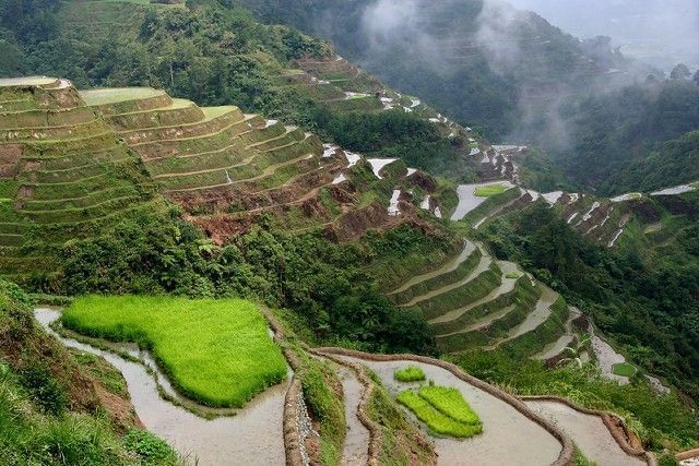Banaue Rice Terrazas fr arroz en Filipinas