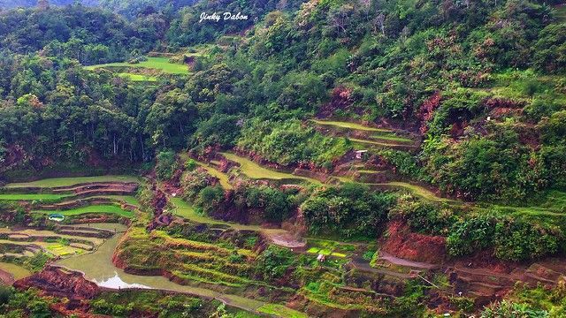 Banaue Rice Terrazas fr arroz en Filipinas