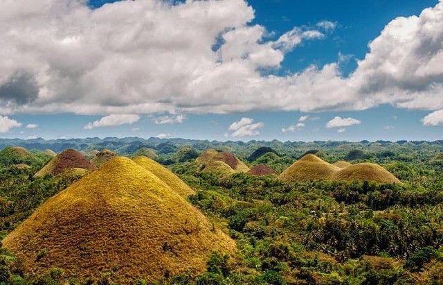Chocolate Hills