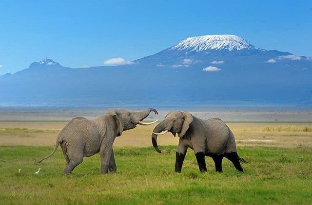 Kilimanjaro, Tanzania