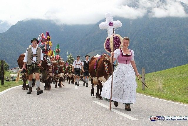 Almabtrieb