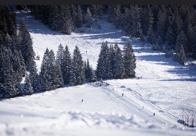Hochschwarzeck Esquí
