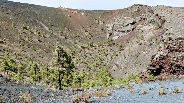 Cráter del Volcán de San Antonio (Canarias)