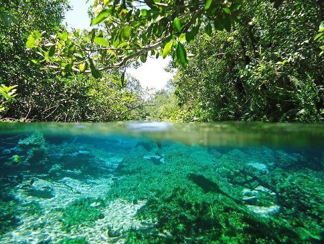 Rio da Prata (Brasil)
