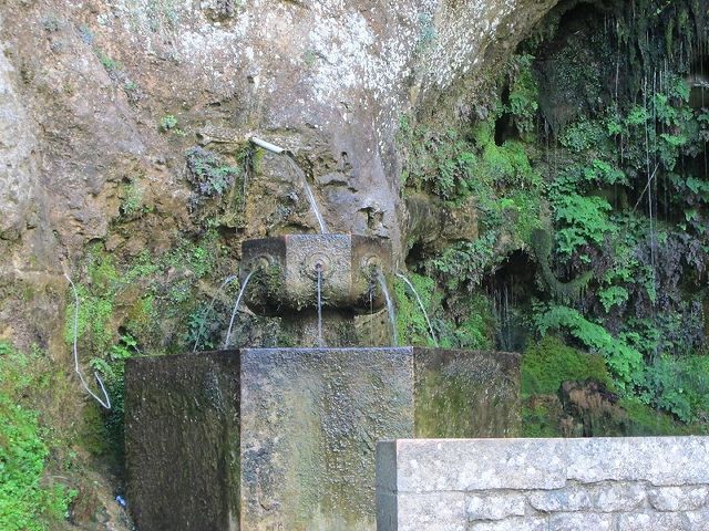 Fuente de los 7 años Covadonga