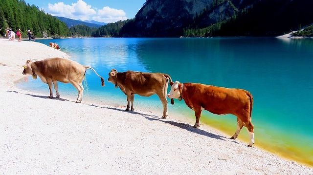 Lago di Braies
