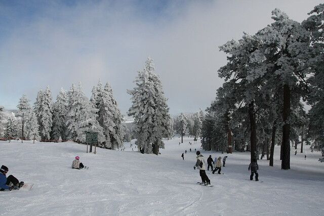 Snow Summit