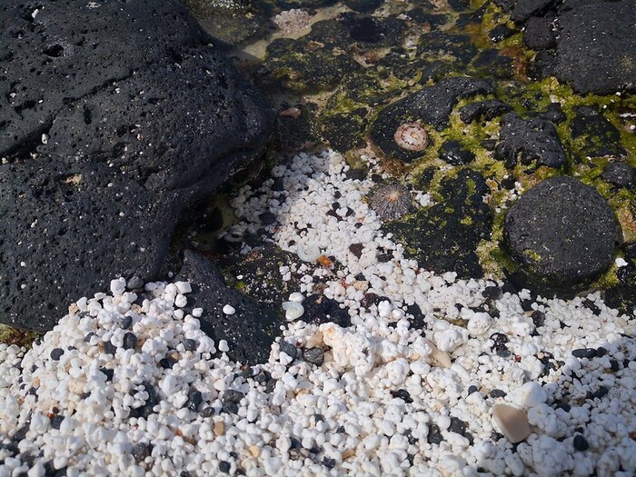 Playa de las Cotufas (Fuerteventura)
