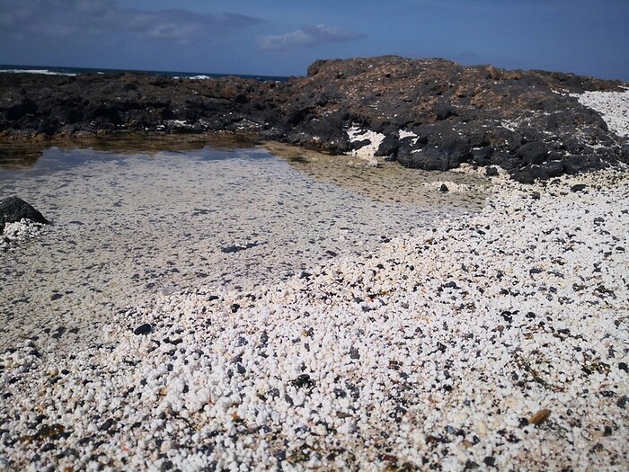 Playa de las Palomitas