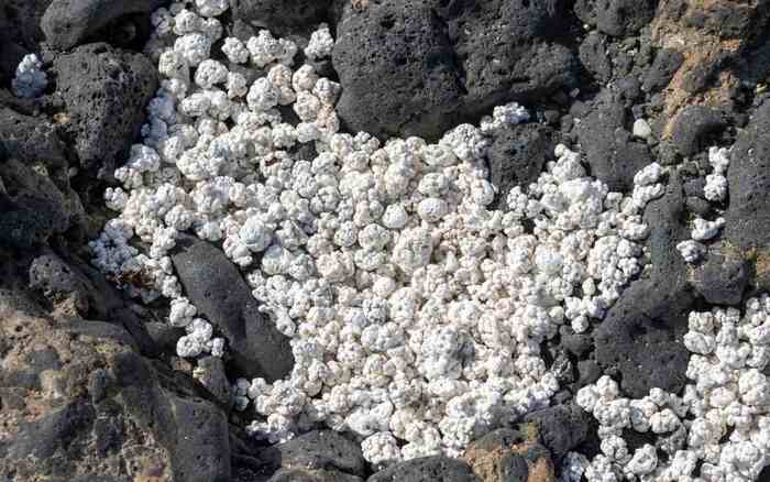 Playa de las Cotufas (Fuerteventura)